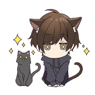 ✨
