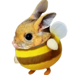🐰