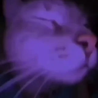 🥳