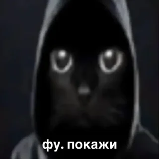 😎