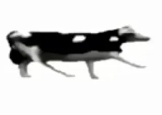 🐄