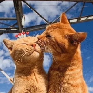 ❤️