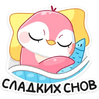 😴