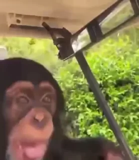 🚘