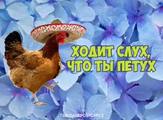 🌟