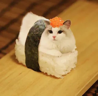 🍣