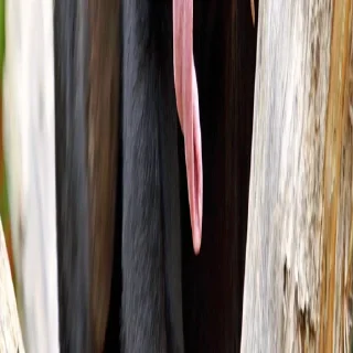 🥵