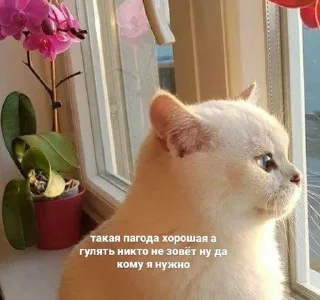 🤍