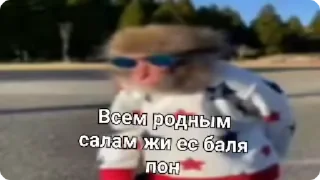 🌟