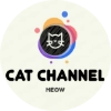 @cat_channel_meow