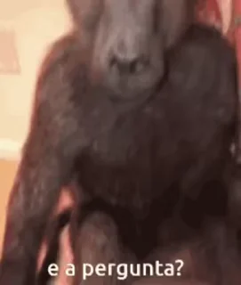 🐵