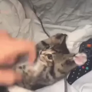 😋