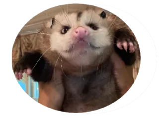 👐