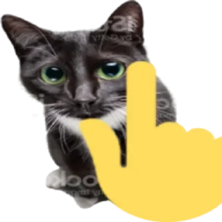 👆
