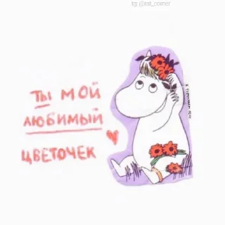 💞