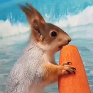 🤩