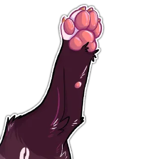 🐾
