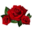 🌹