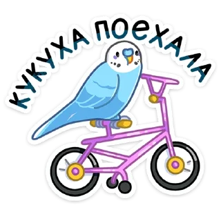 🚴‍♂️
