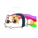 🌈