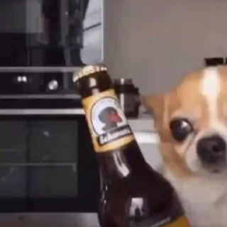 🍺