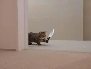 🔪