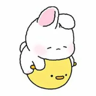 🐇