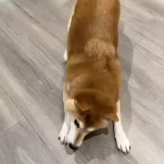 😄