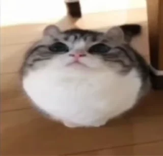 😳