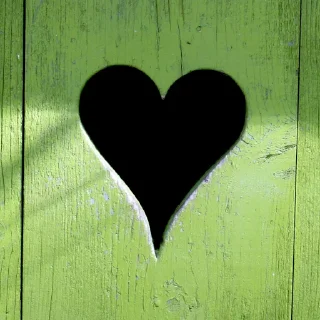 💚