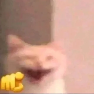 🫵