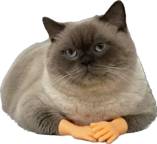 🫱