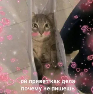 😳