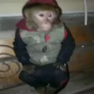 👀