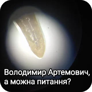 🔬