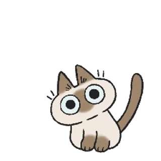 Siamese @stickersb2b
