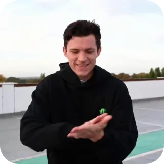🕷️