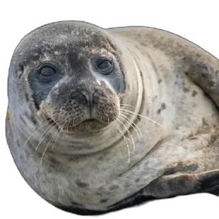 😢