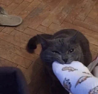 🦷