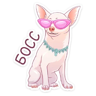 😎