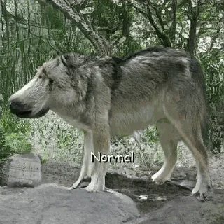 🙃