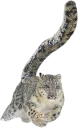 👟