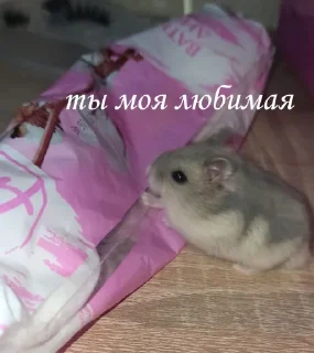 ❤