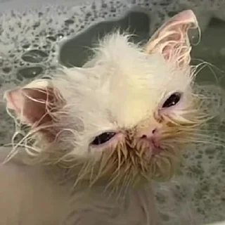 🛁