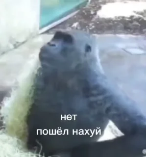😁