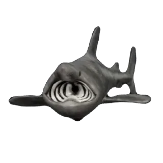 🦈