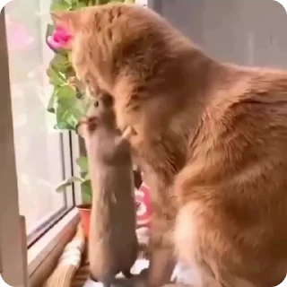 😘