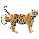 🌈