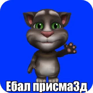 🐱