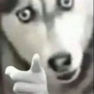 🫵